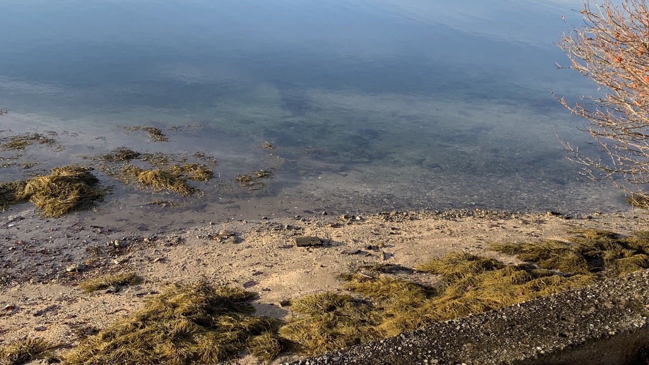Photo of Others in Harpswell Center