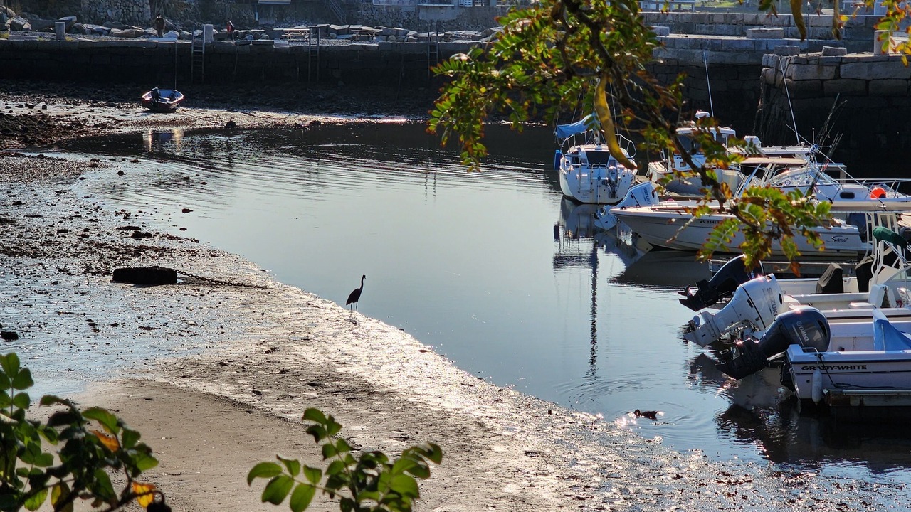 Photo of Others in Rockport