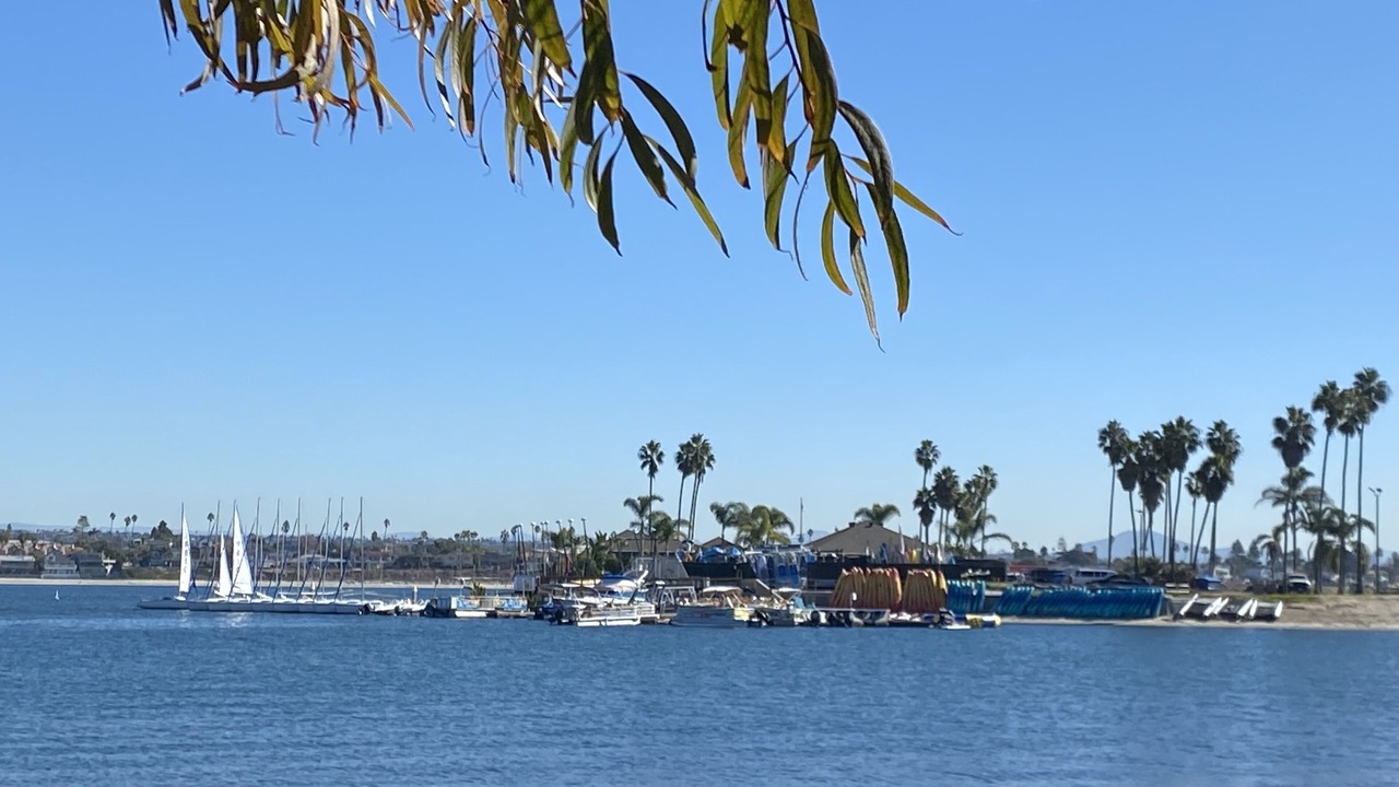 Photo of Others in Mission Beach