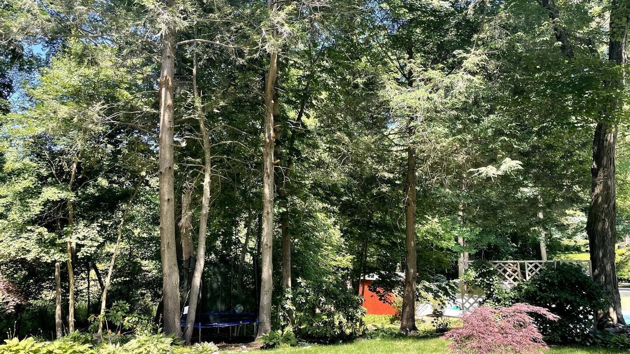 Photo of Outdoor in Westwood