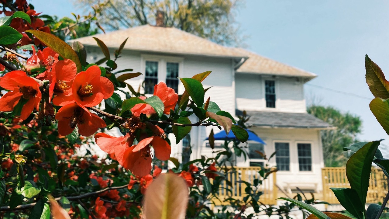 Photo of Outdoor in Hartville