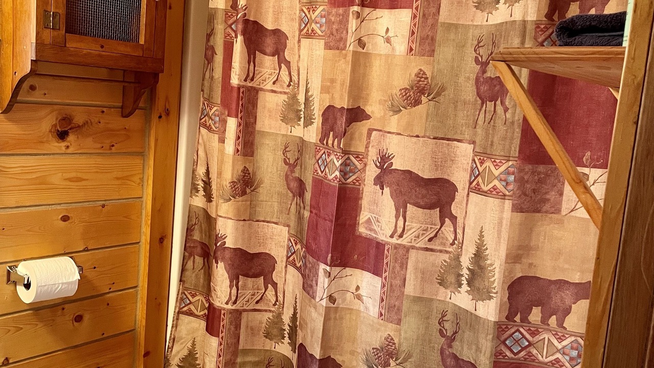 Photo of Bathroom in Cooper Landing