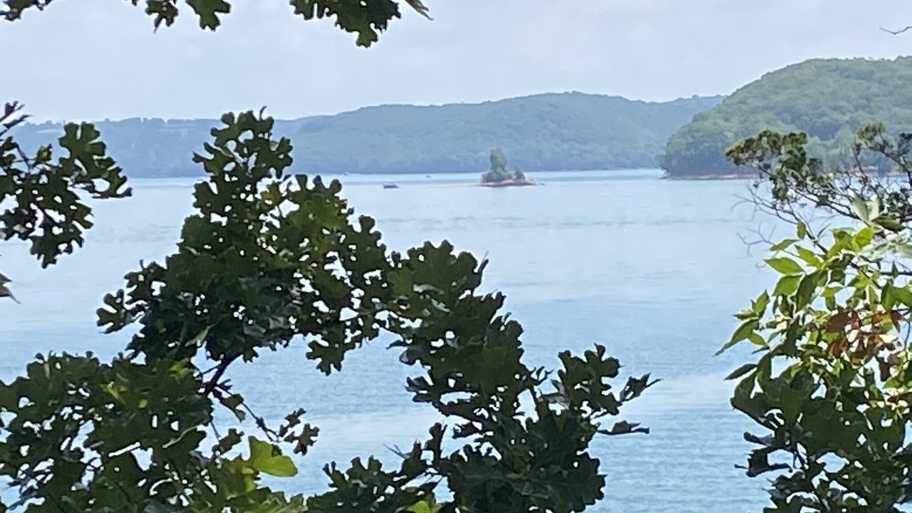 Photo of Others in Lost Bridge Village