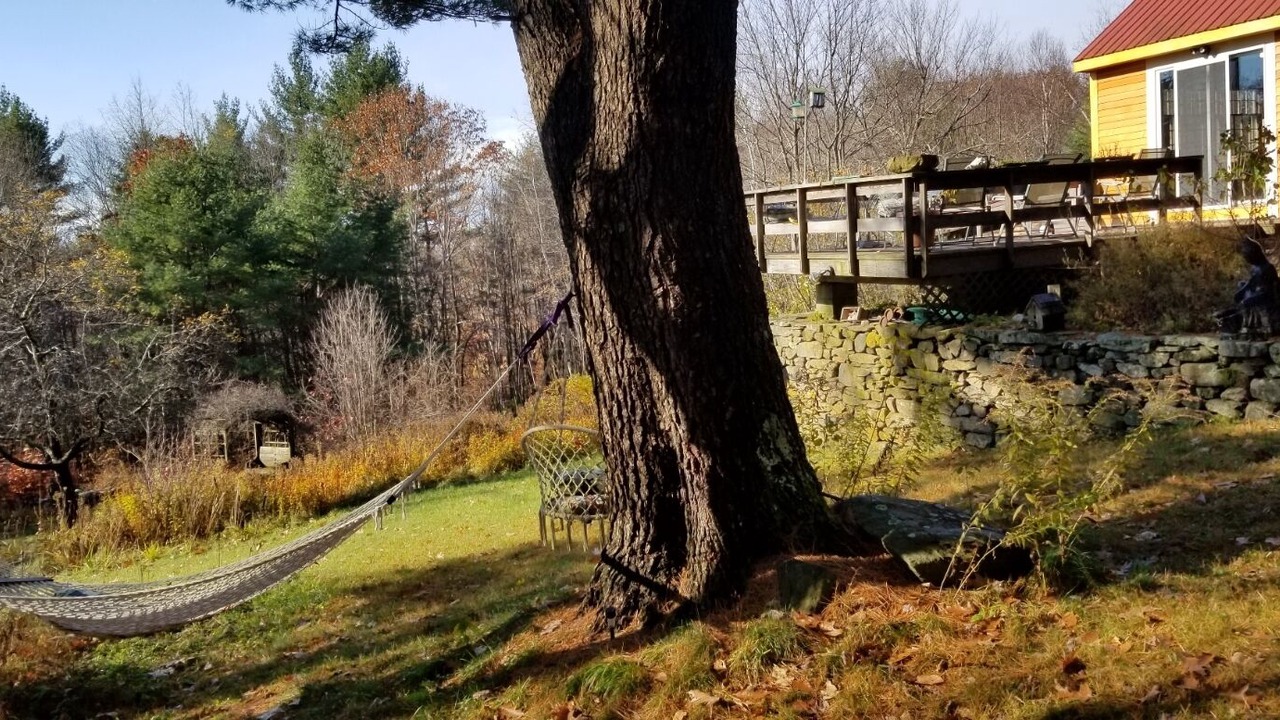 Photo of Outdoor in Brookline