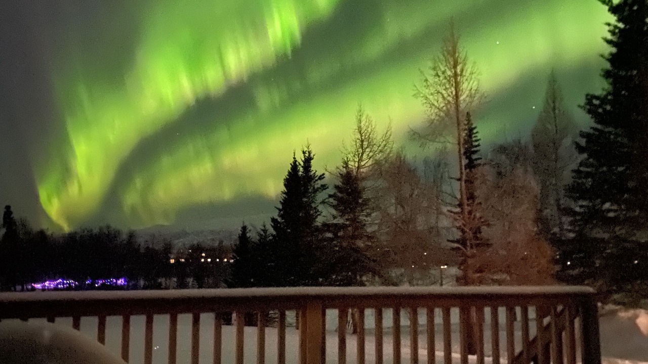 Photo of Outdoor in Palmer