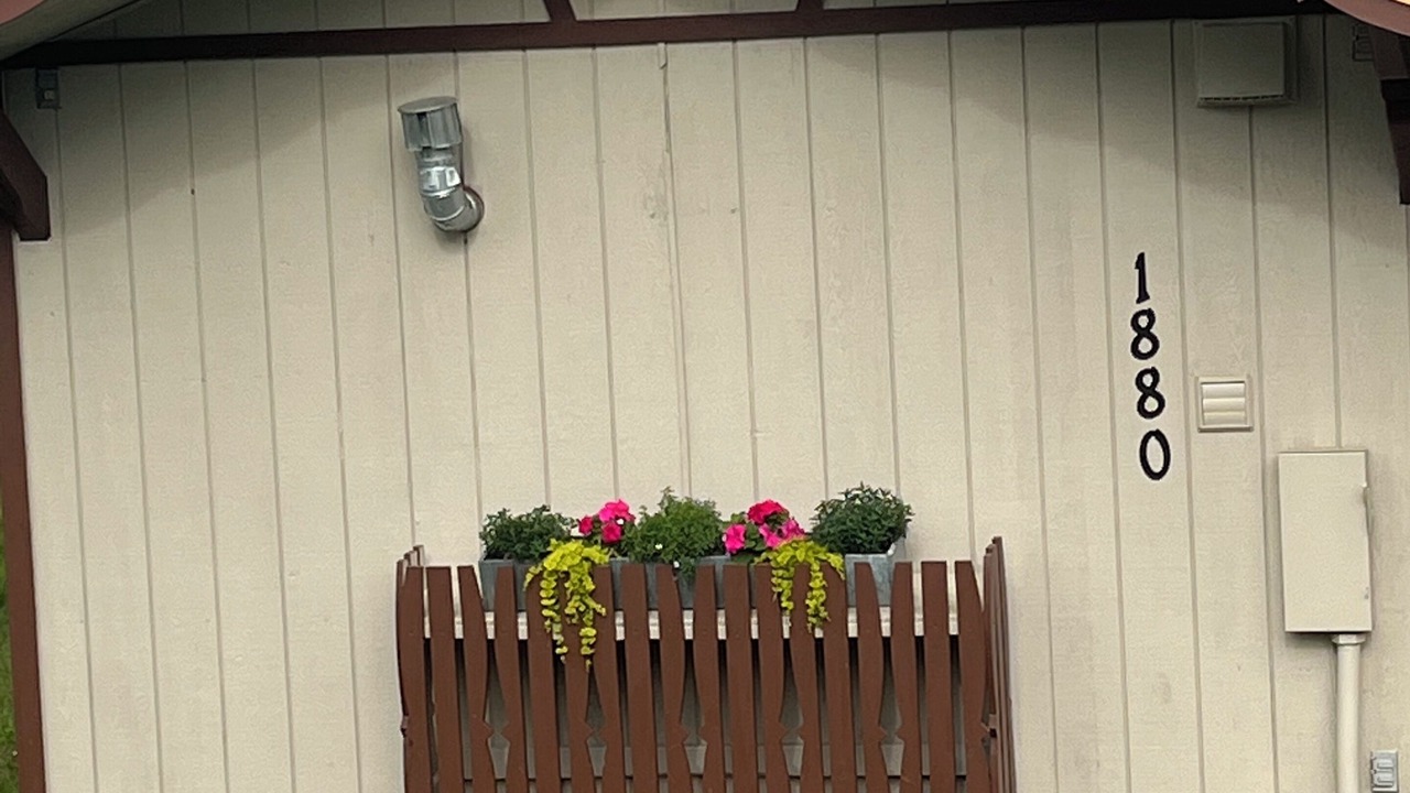 Photo of Outdoor in Palmer
