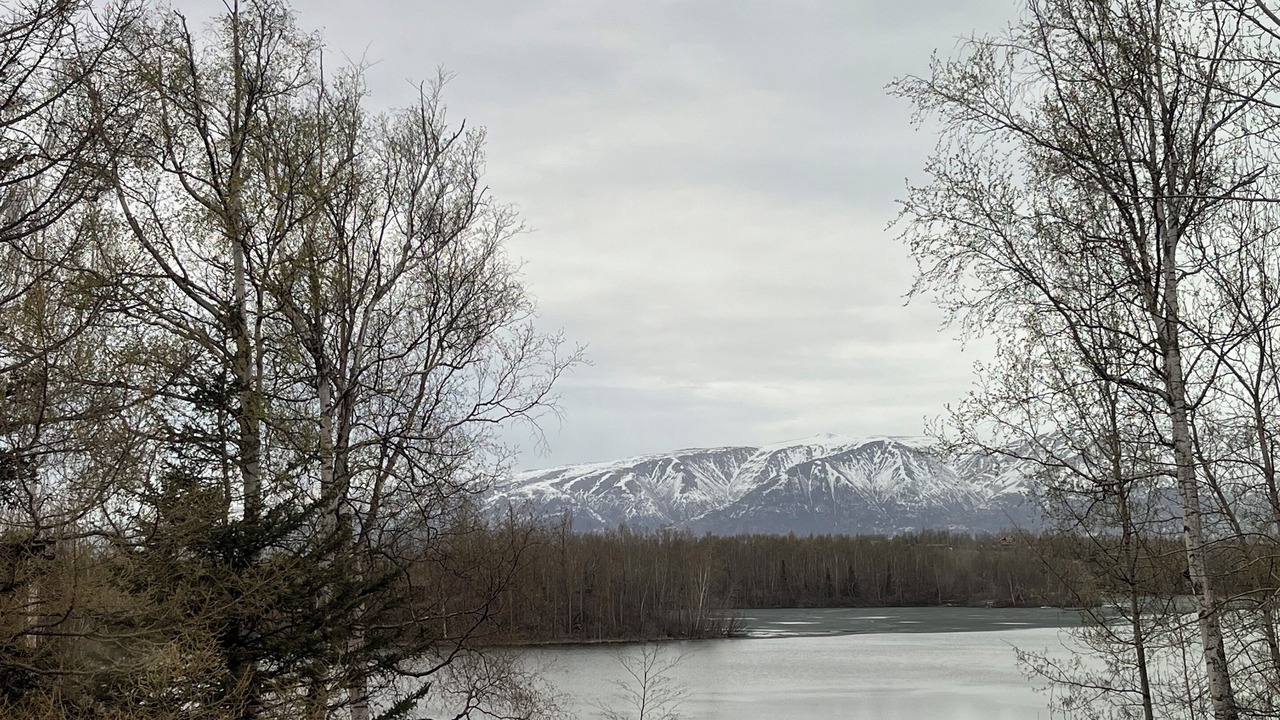 Photo of Outdoor in Palmer