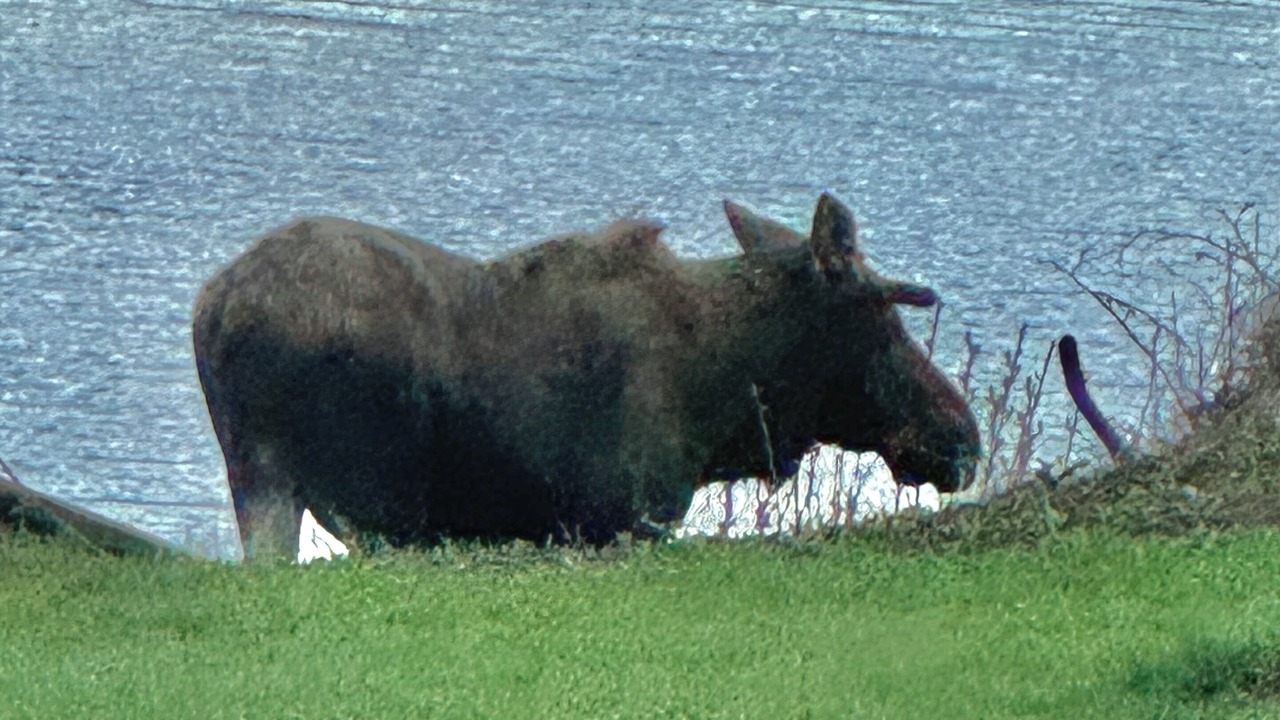 Photo of Outdoor in Palmer