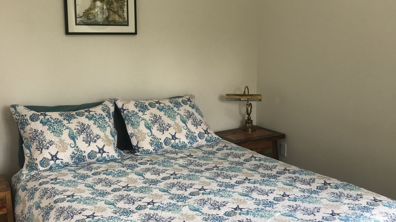 Photo of Bedroom in Homer