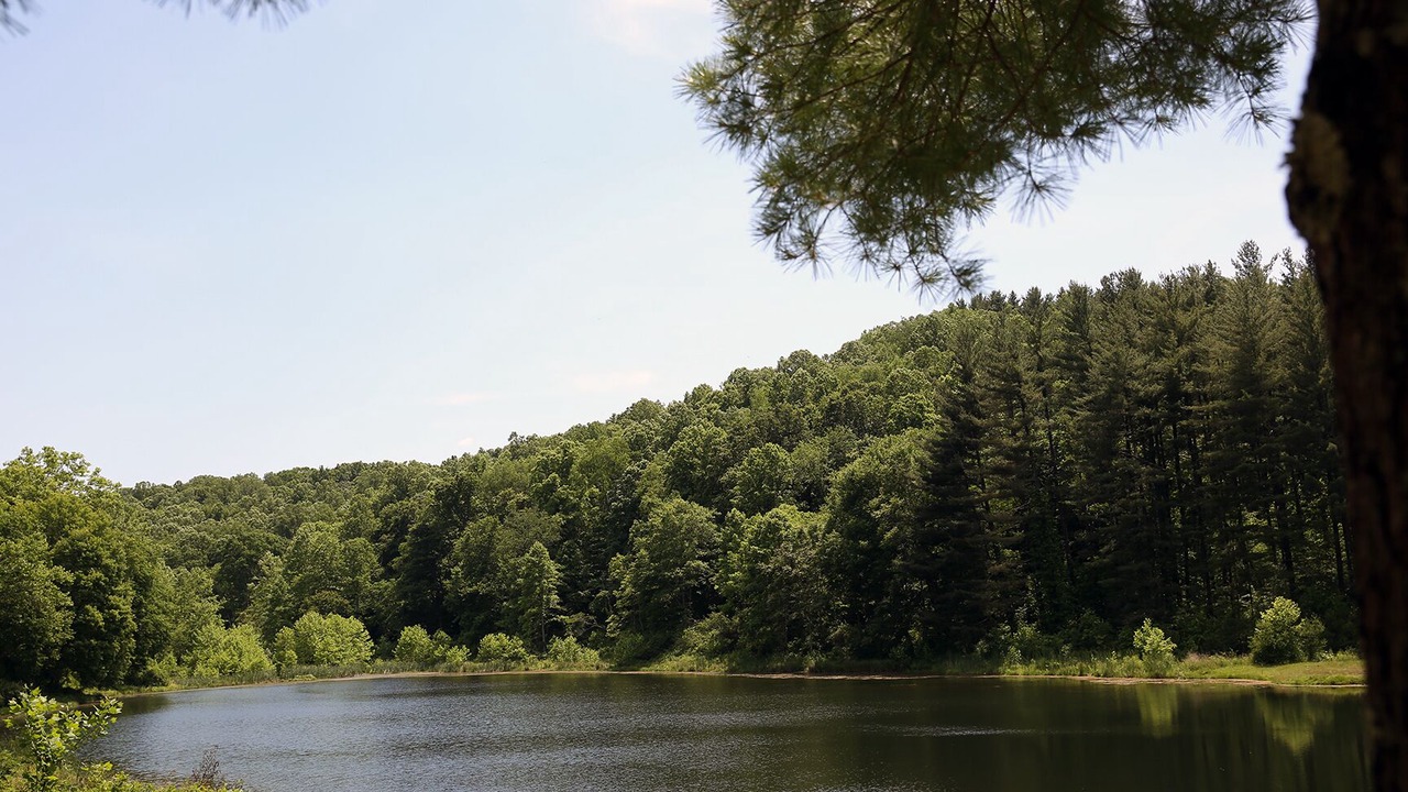 Photo of Outdoor in Shawnee