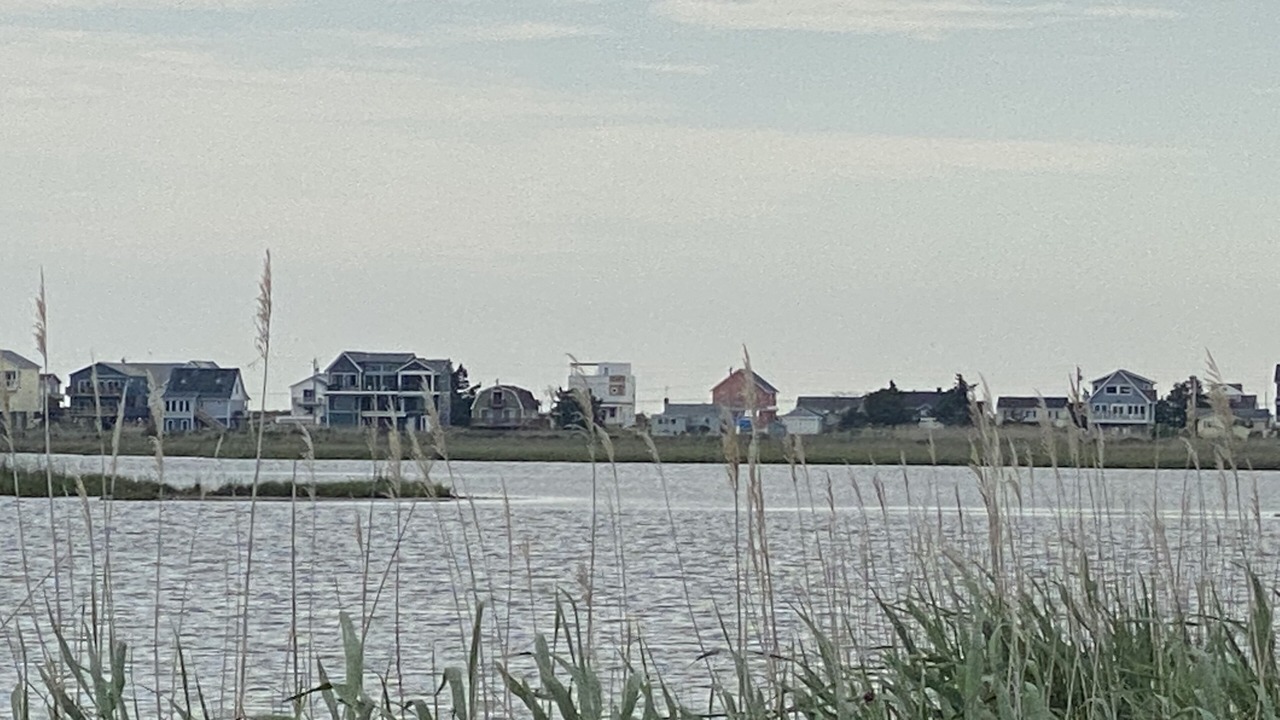 Photo of Others in Milford