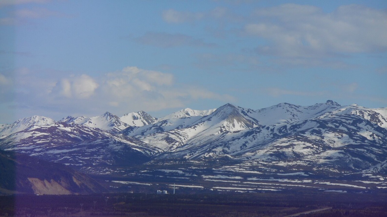 Photo of Others in Healy
