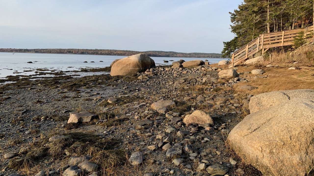 Photo of Others in Bar Harbor