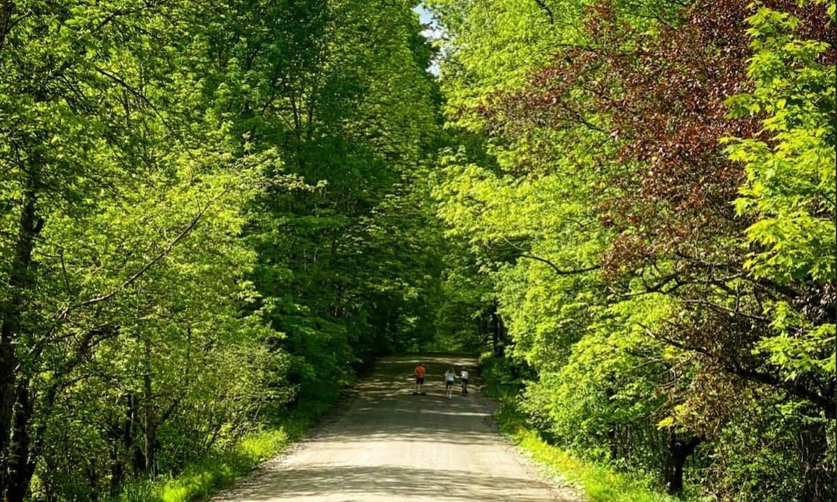 Photo of Others in Stowe Area
