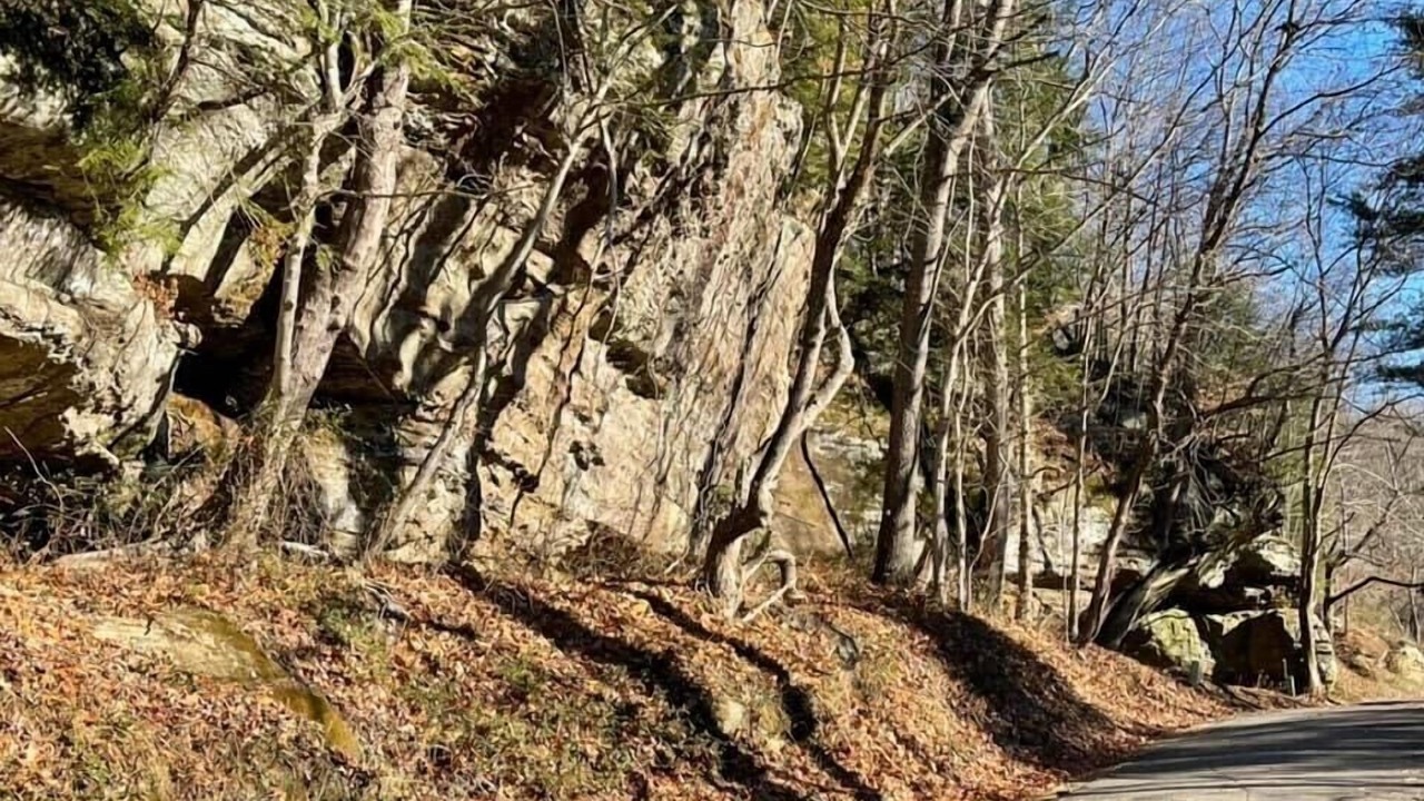Photo of Outdoor in Carbon Hill