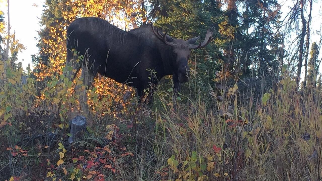Photo of Outdoor in Ridgeway