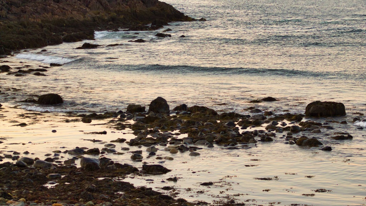 Photo of Others in York Beach