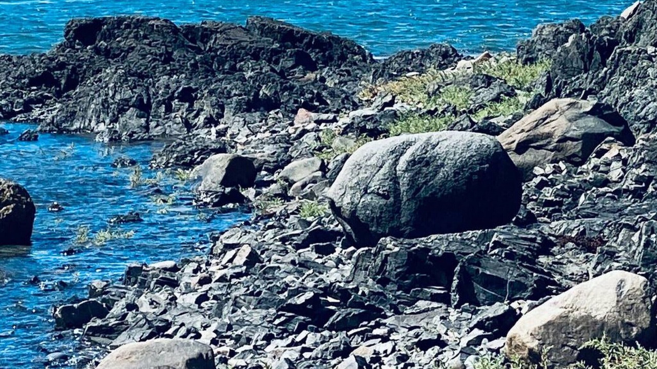 Photo of Others in Eastport