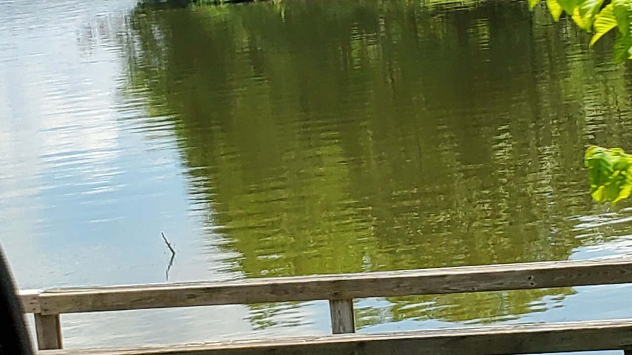 Photo of Others in Wayland