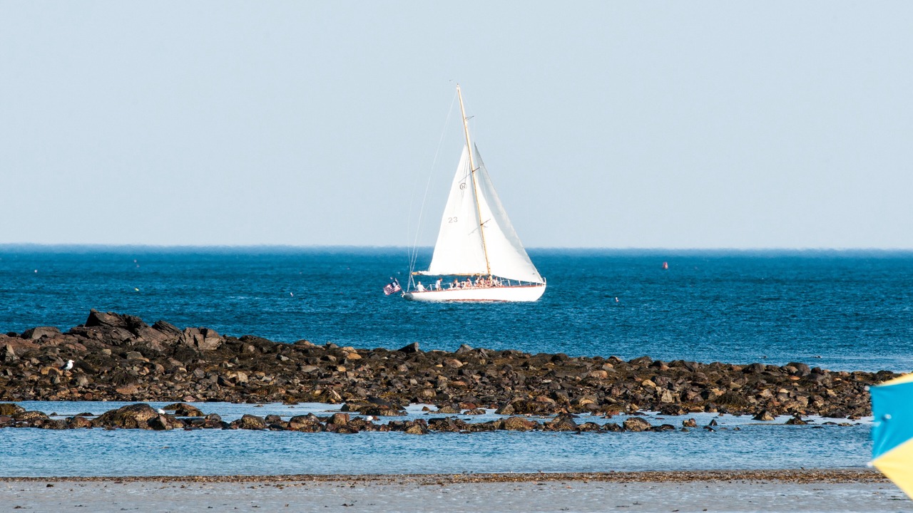 Photo of Others in Wells