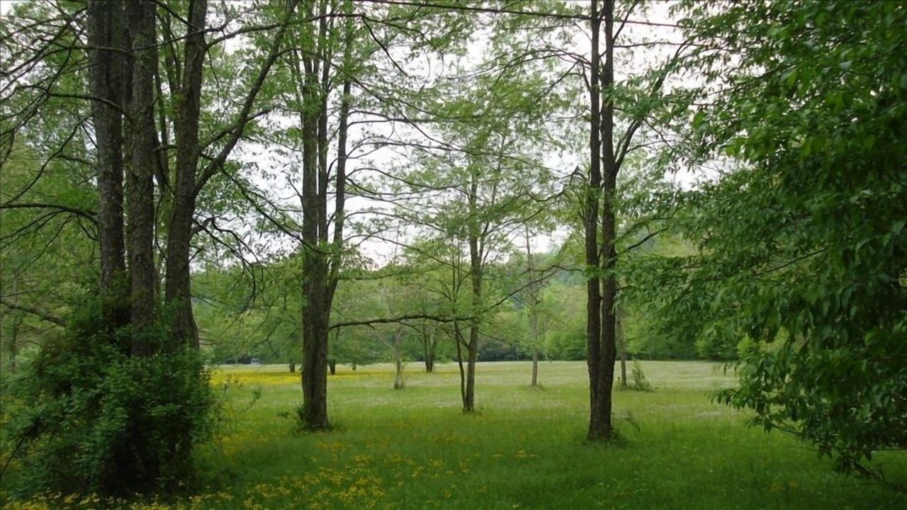 Photo of Others in Leadsville