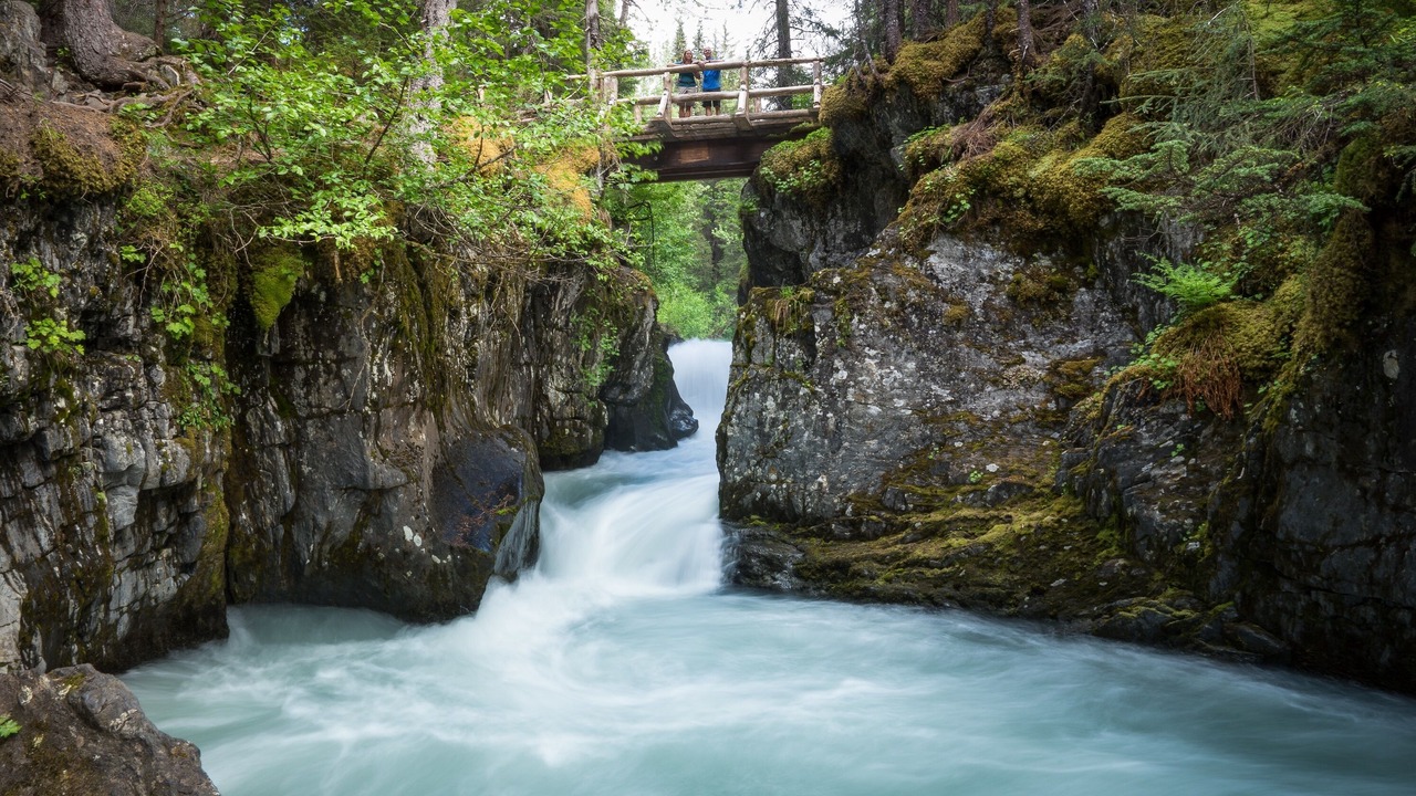Photo of Others in Girdwood