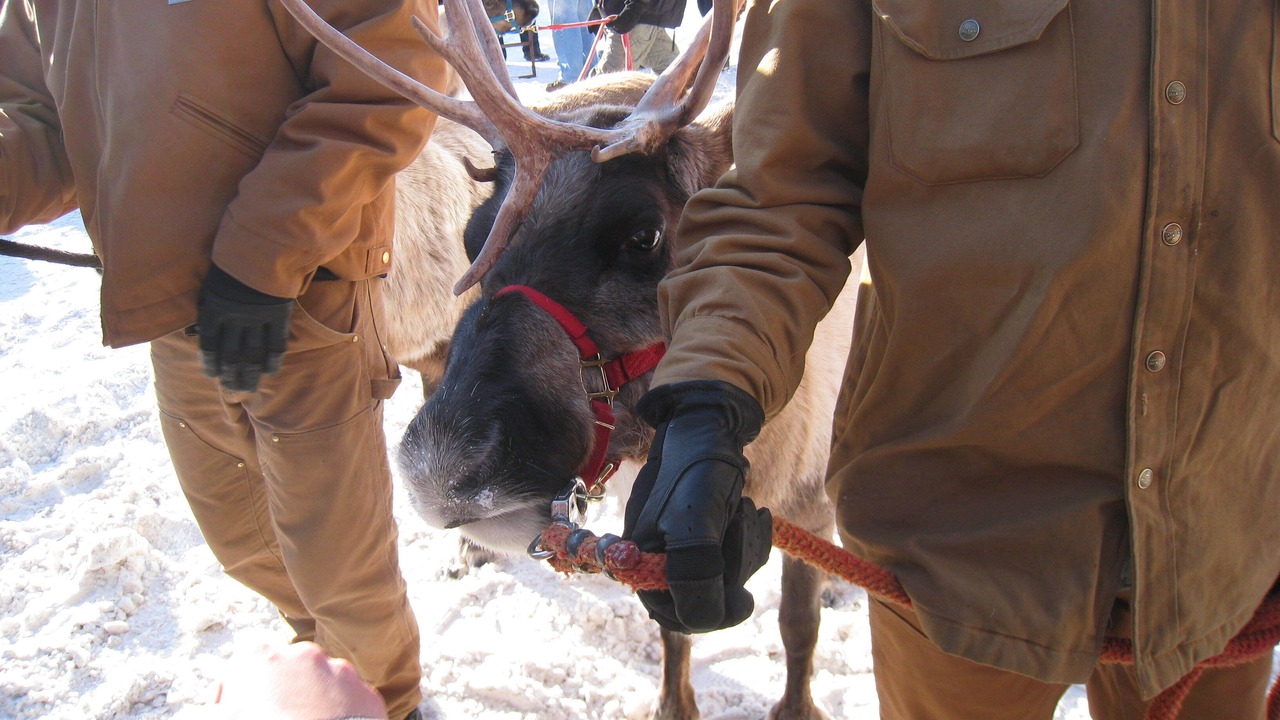 Photo of Others in Turnagain