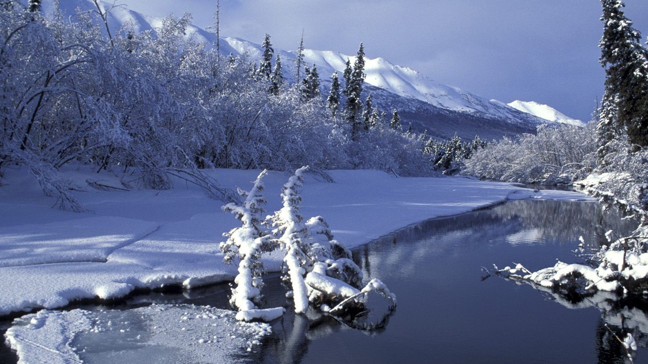Photo of Others in Turnagain