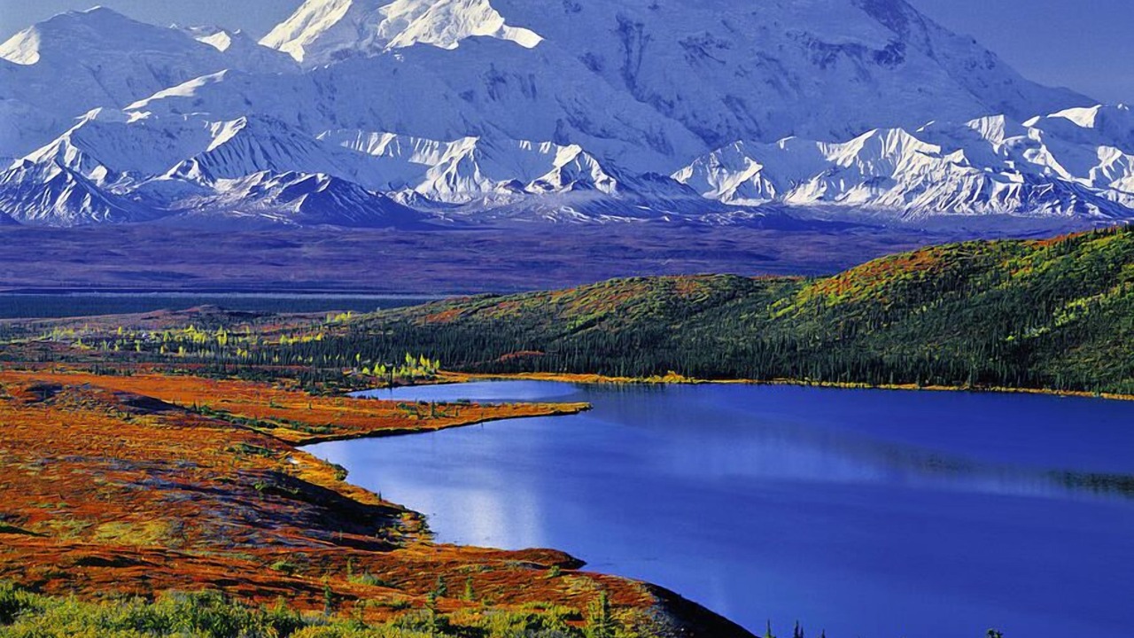 Photo of Others in Turnagain