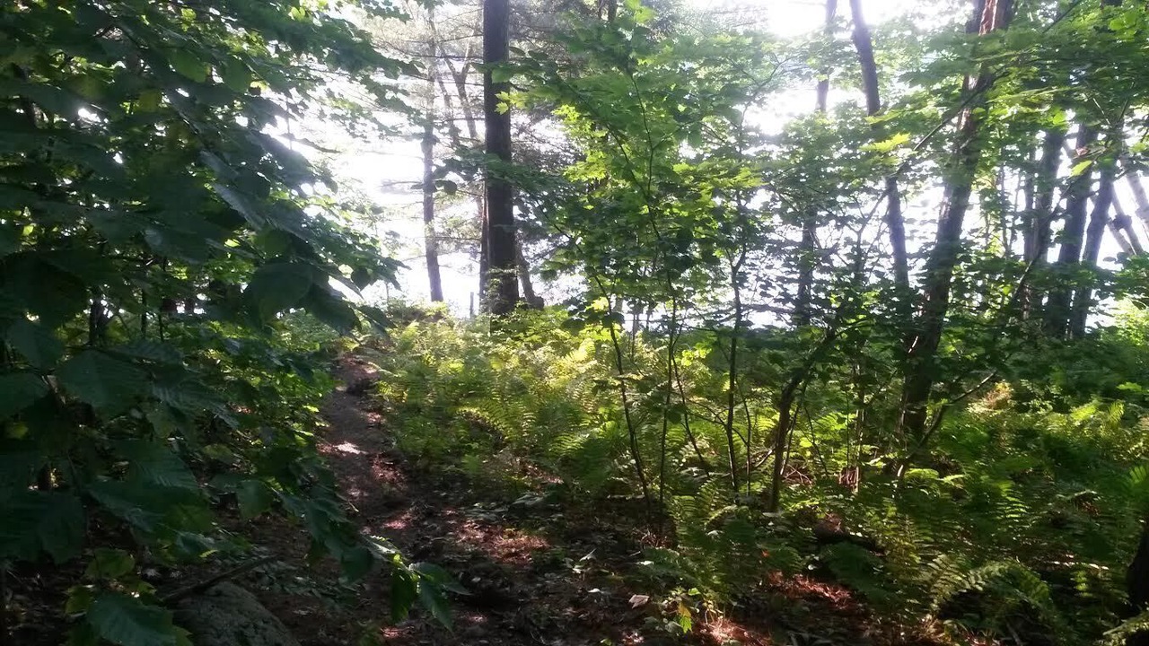 Photo of Others in North Monmouth