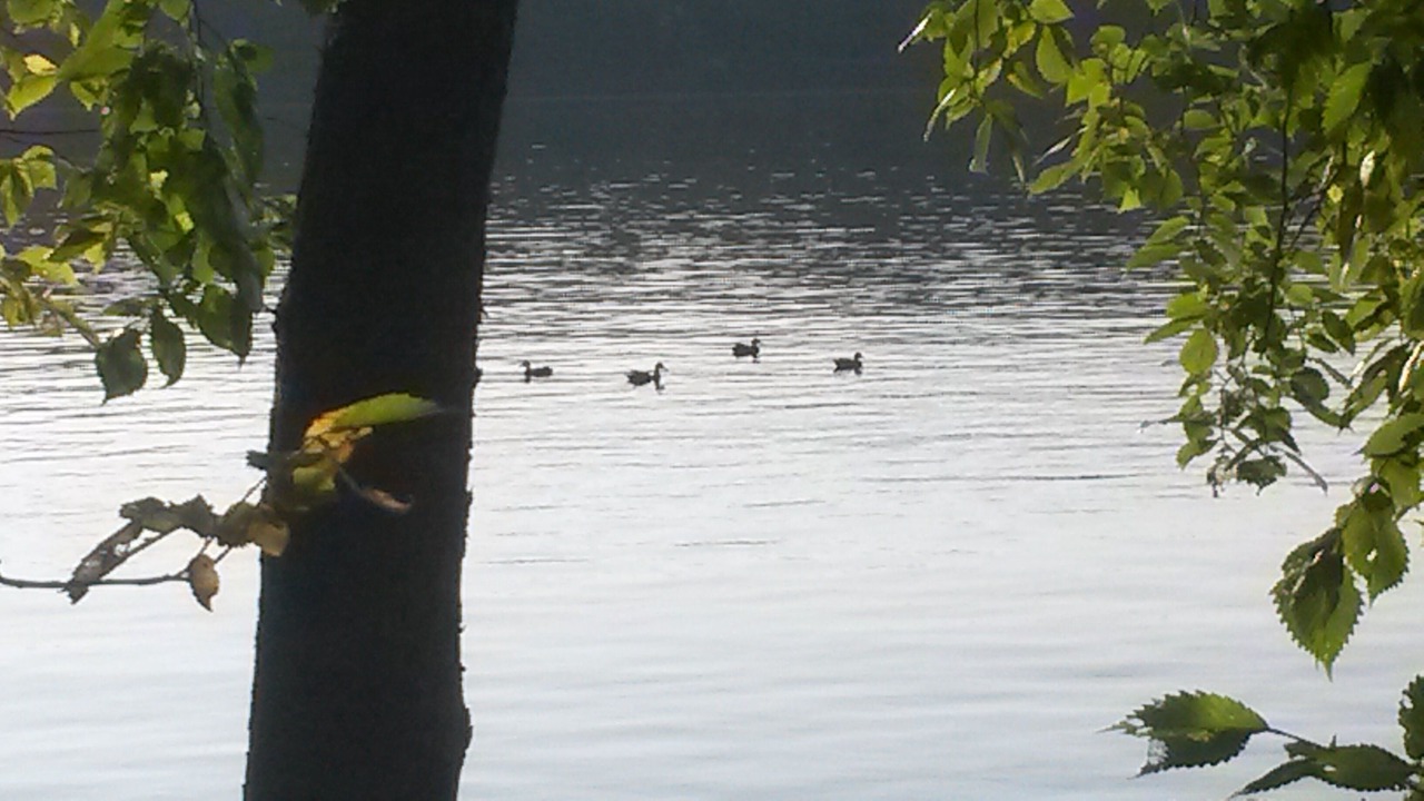 Photo of Others in North Monmouth
