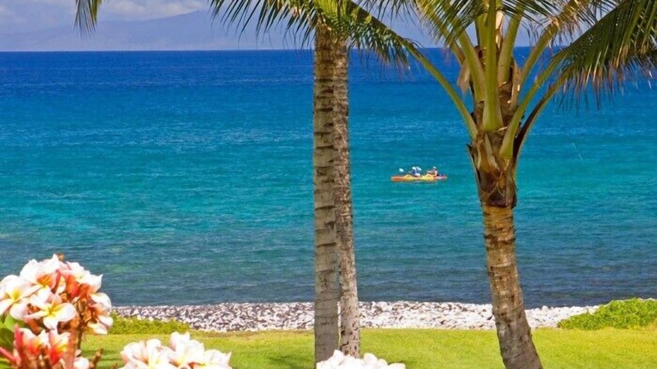 Photo of Others in Wailea