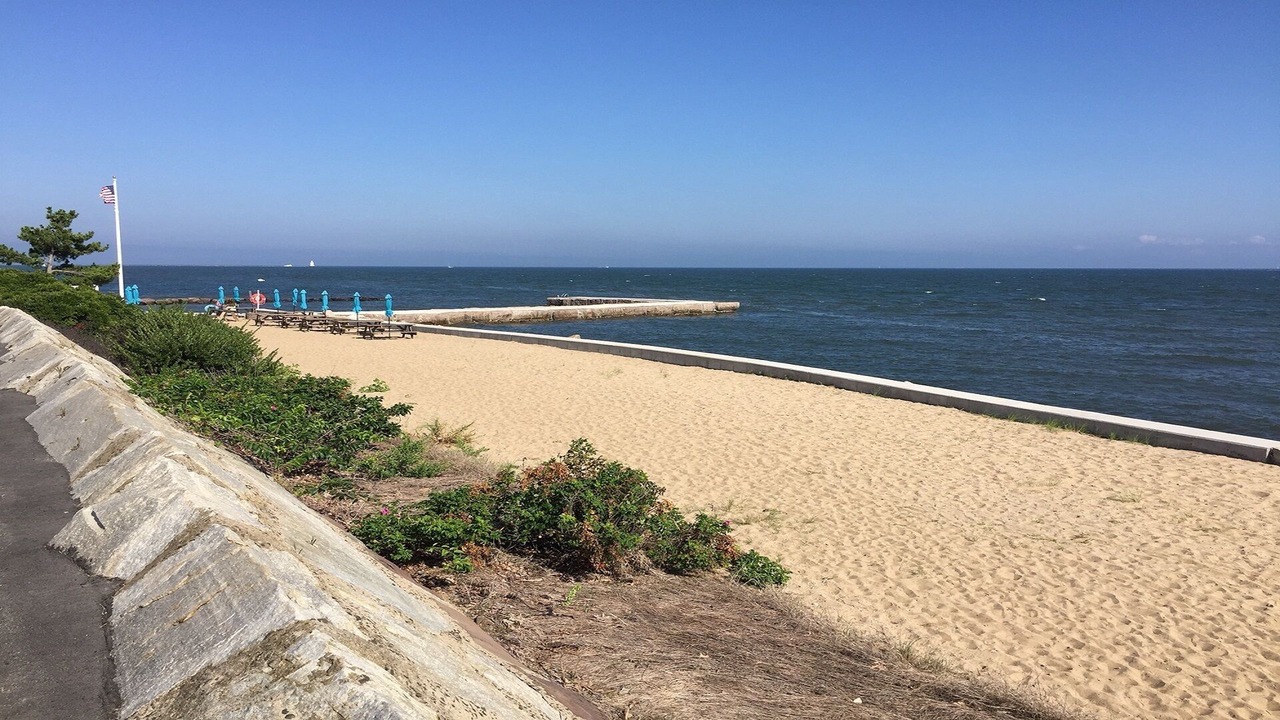 Photo of Others in Old Saybrook