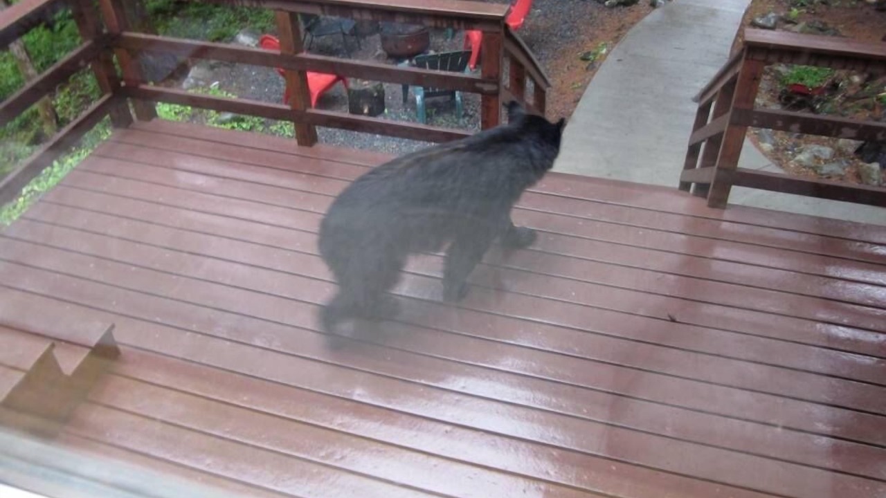 Photo of Others in Alyeska