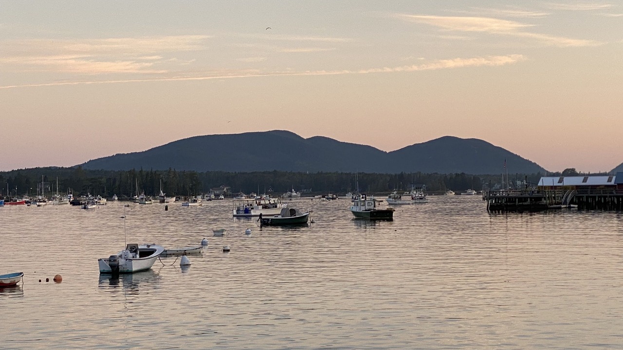 Photo of Others in Bass Harbor
