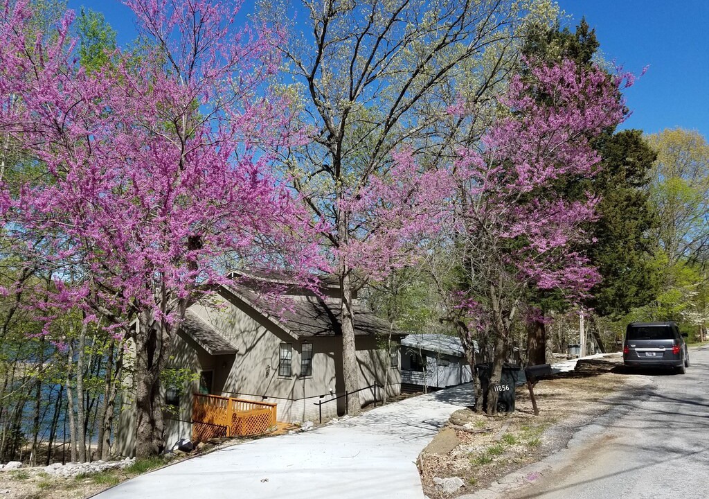 Photo of Buildings in Lost Bridge Village