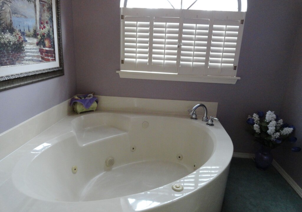 Photo of Bathroom in Lost Bridge Village