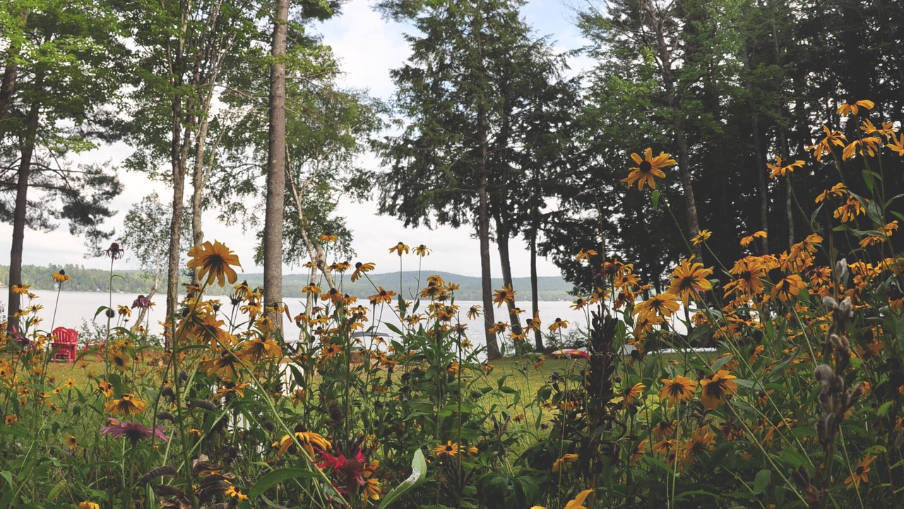 Photo of Outdoor in Embden