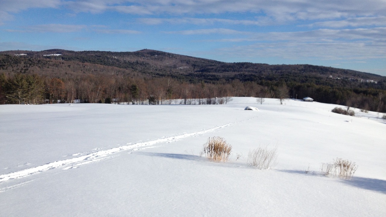 Photo of Others in Danbury