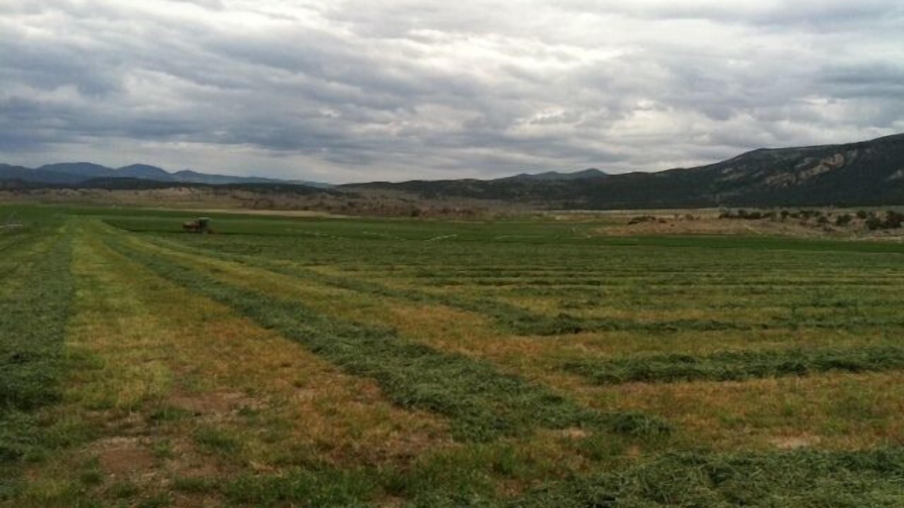 Photo of Outdoor in Lyman