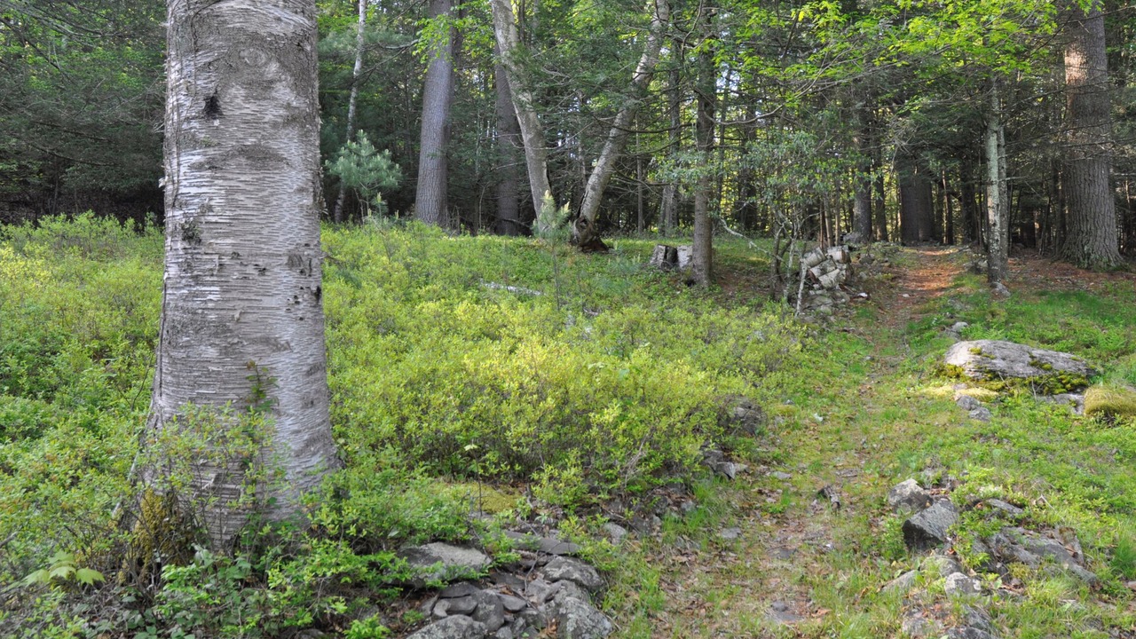 Photo of Outdoor in Woodstock