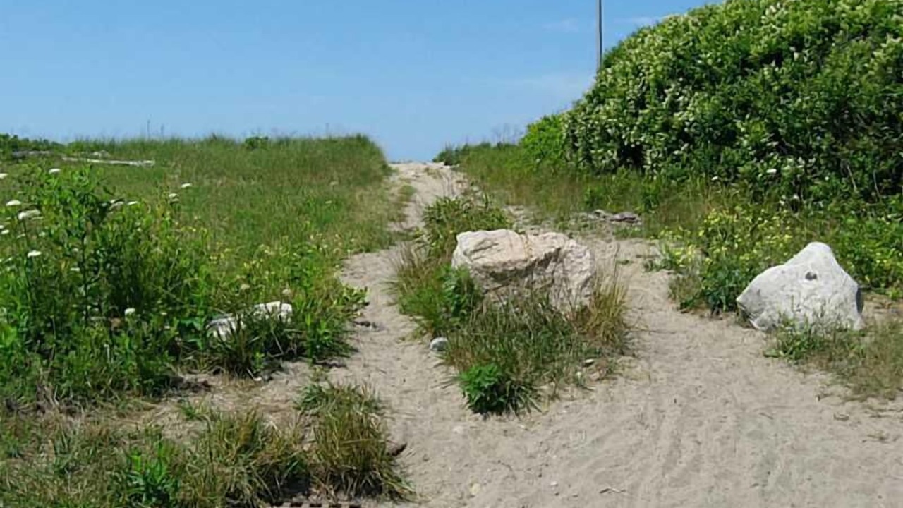 Photo of Others in Point Judith