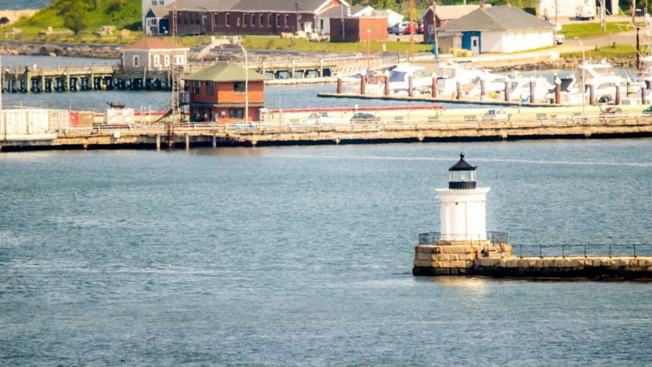 Photo of Others in Munjoy Hill