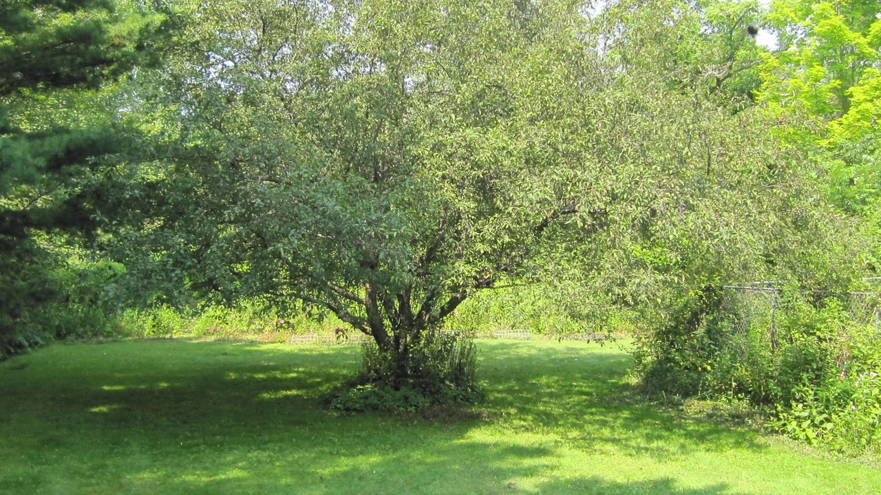 Photo of Others in Lee