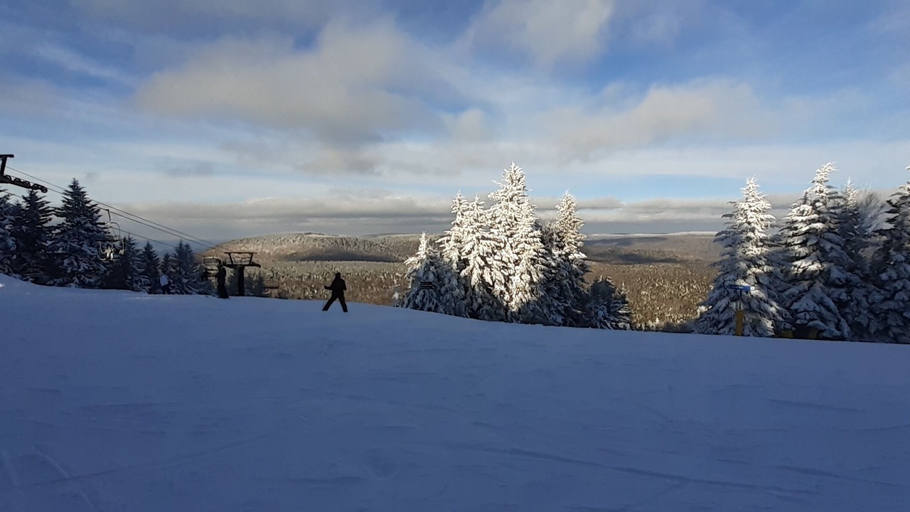 Photo of Others in Snowshoe
