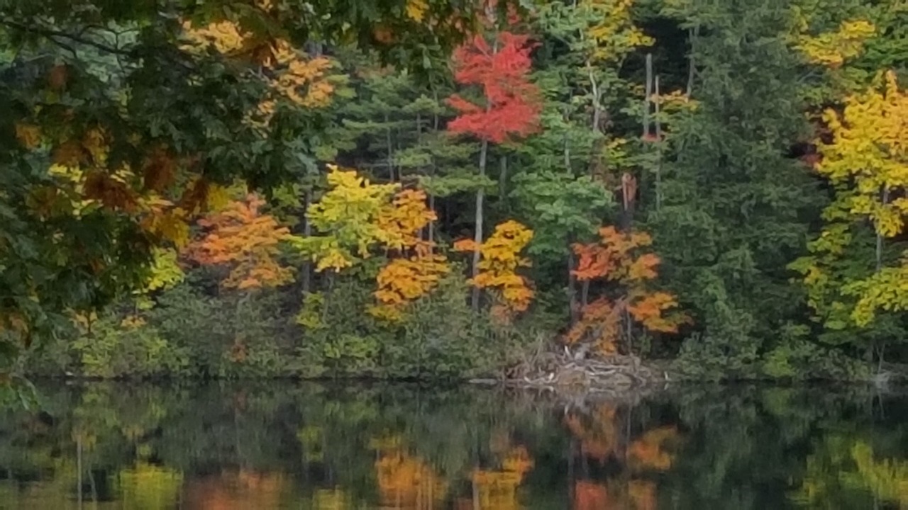 Photo of Outdoor in Raymond