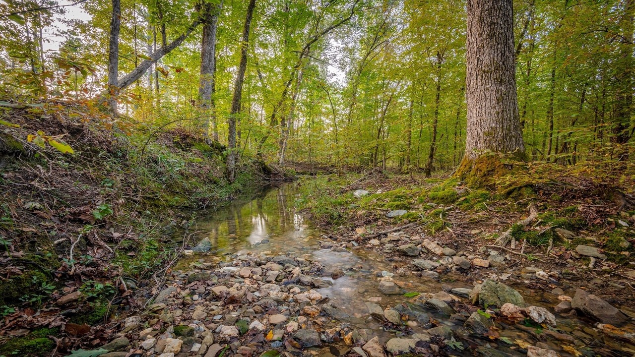 Photo of Outdoor in Broken Bow