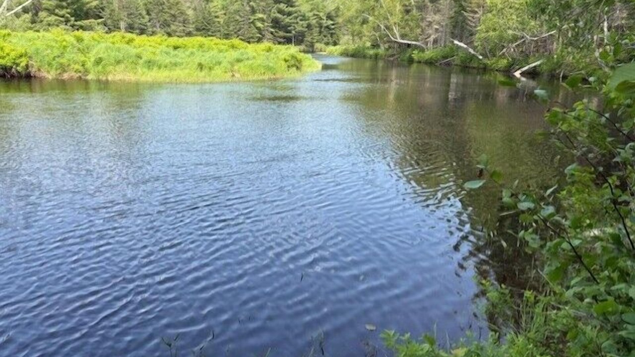 Photo of Others in Cherryfield