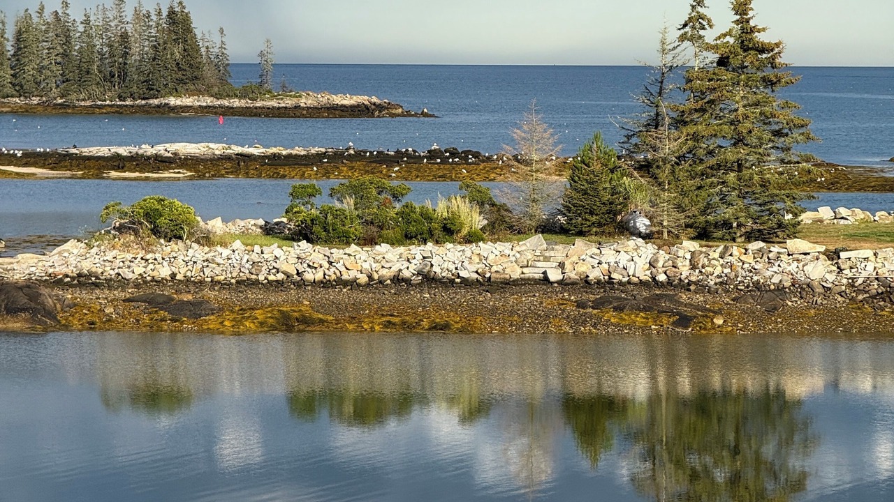 Photo of Others in Tenants Harbor