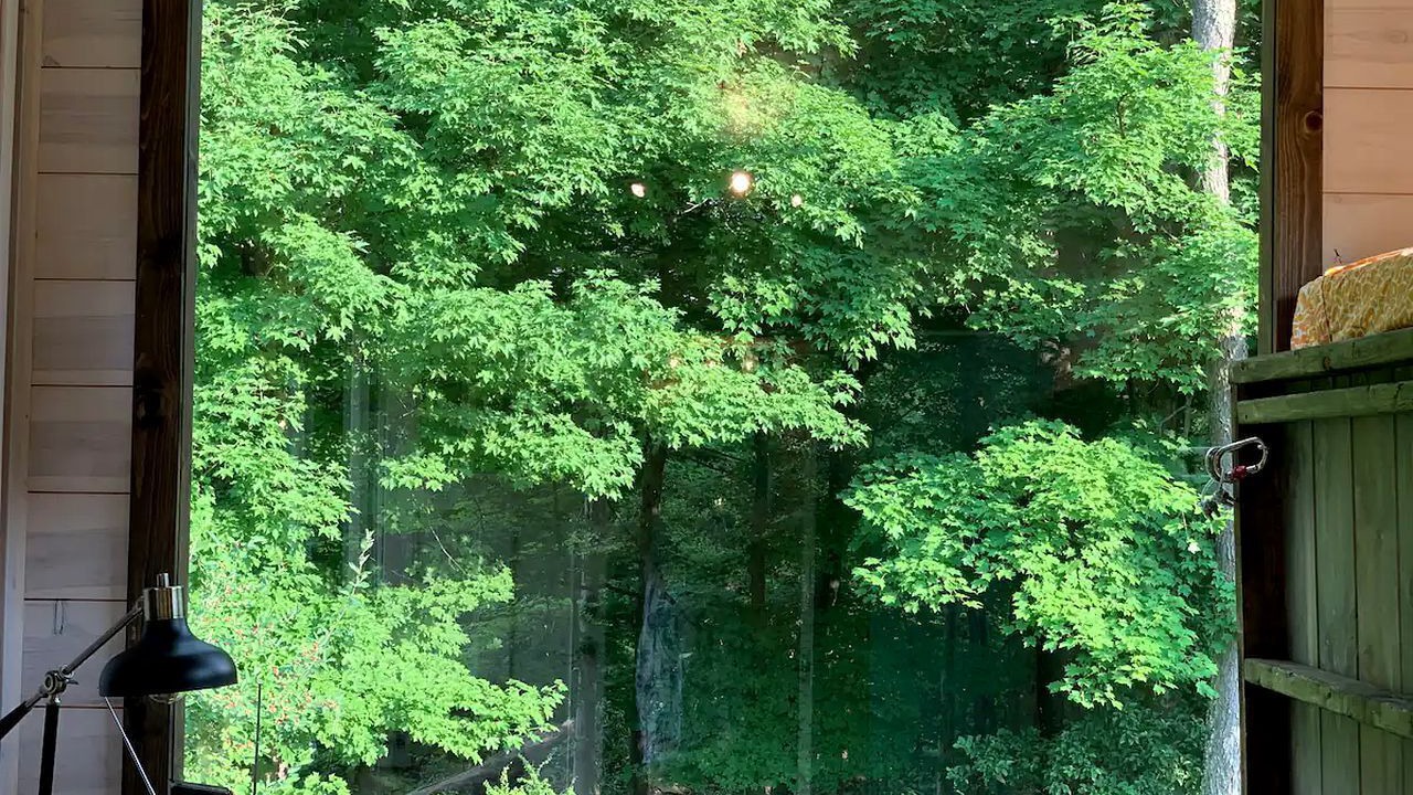 Photo of Others in Triadelphia